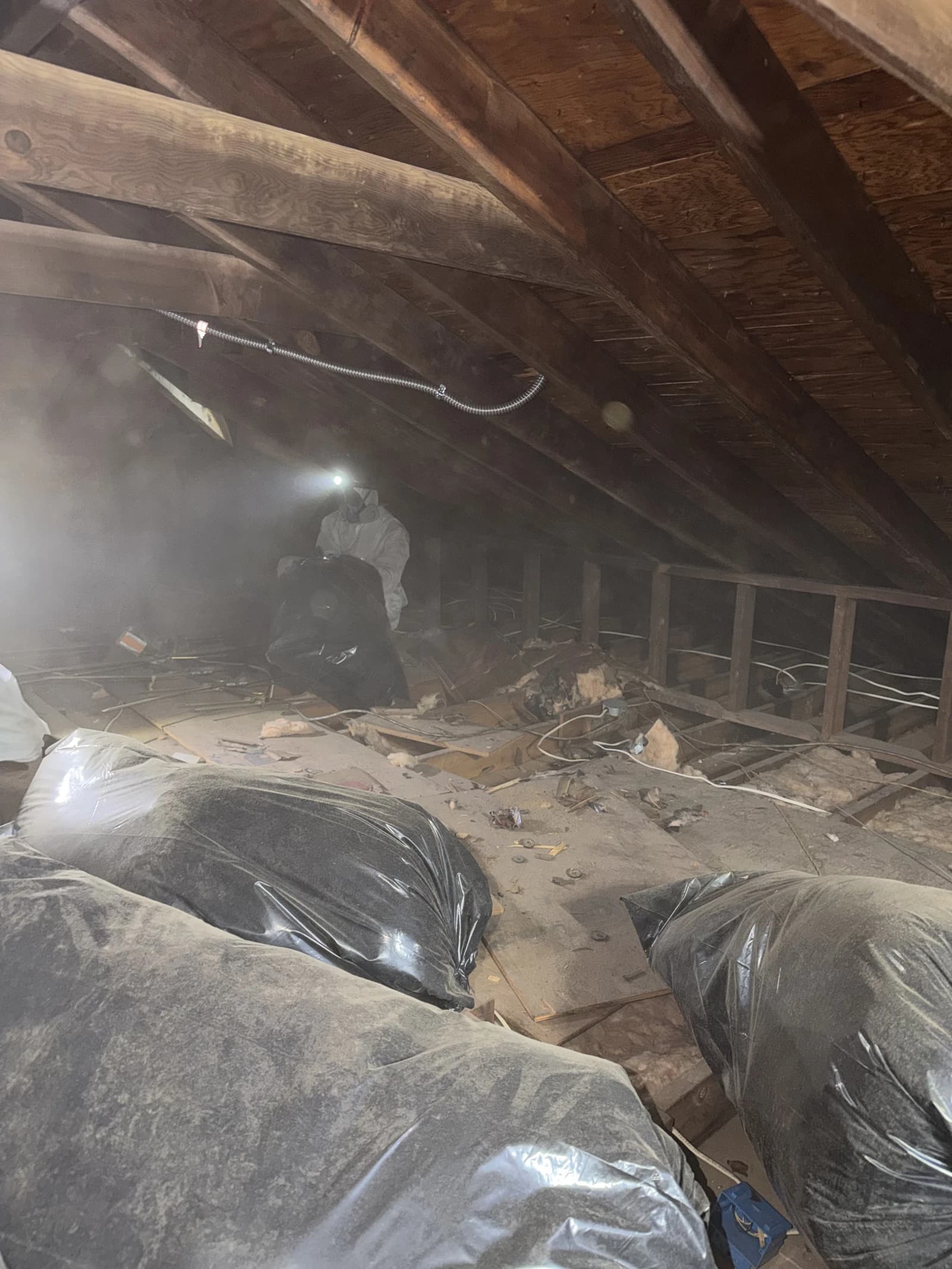 Attic cleanup & restoration