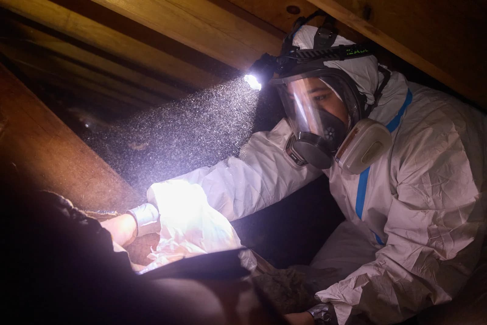 Attic Fanatics technician inspecting an attic with a headlamp